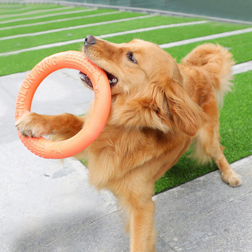 1pc Orange Dog Toys Pet Flying - Indestructible Dog Chew Toy ulasan dan harga