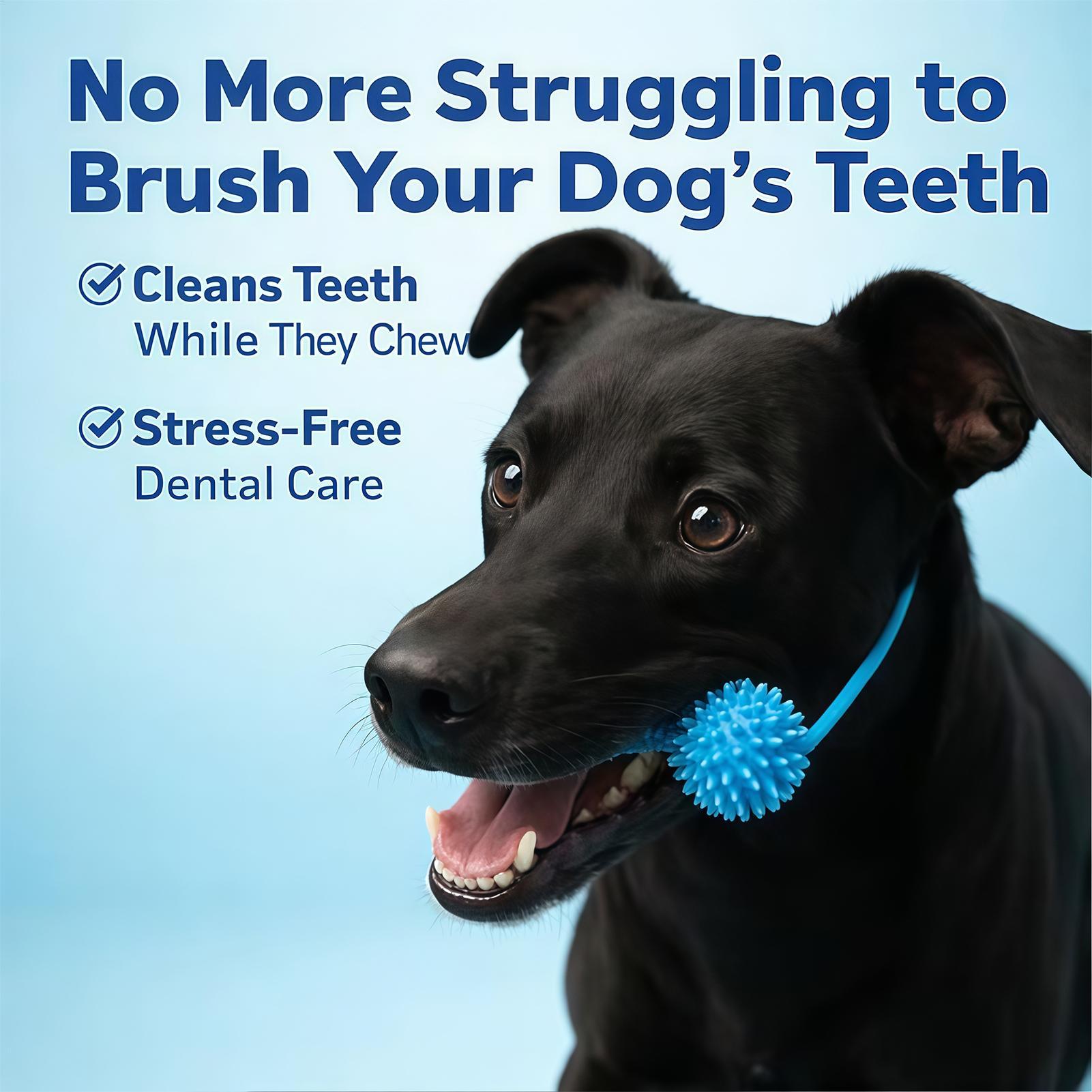 Dog Toothbrushing Toys Chewer  - Rubber Treat Dispensing Dog Toy ulasan dan harga