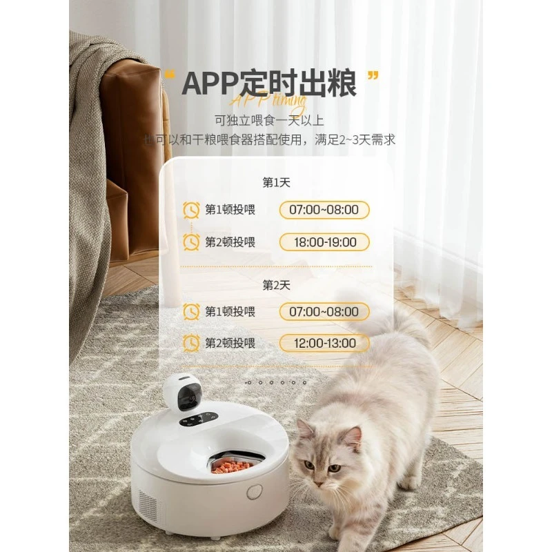 Smart Auto Cat Wet Food Feeder - Pet Feeders ulasan dan harga
