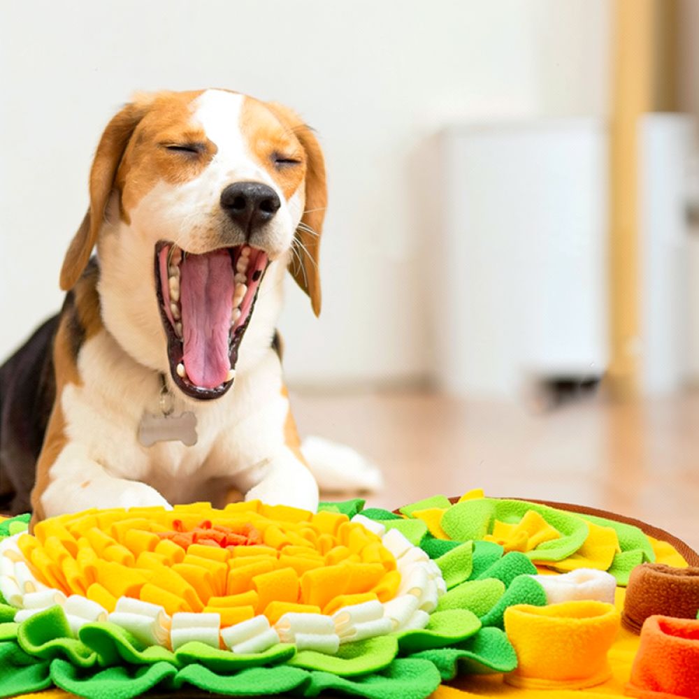 Dog Snuffle Mat Bone Design Pe - Dog Puzzle Feeder Toy ulasan dan harga