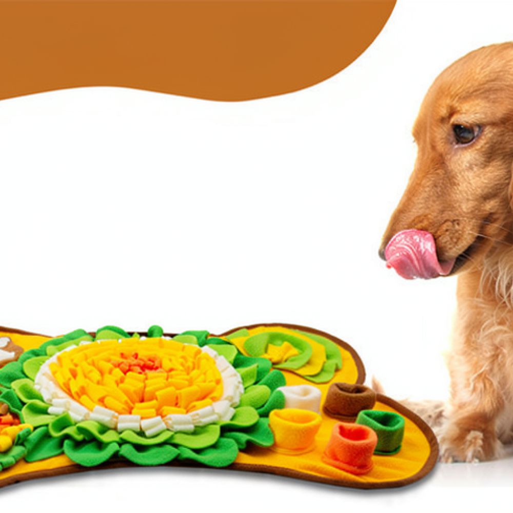 Dog Snuffle Mat Bone Design Pe - Dog Puzzle Feeder Toy ulasan dan harga